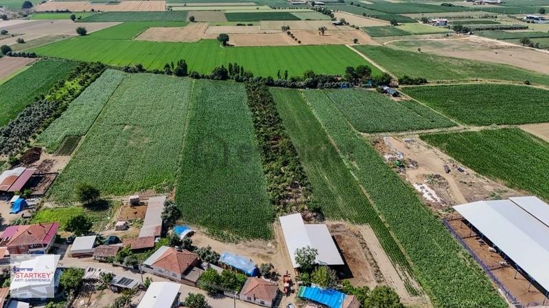 Aydın Çine Sarıoğlu Mh 19.614 M2 Satılık Tarla - 7