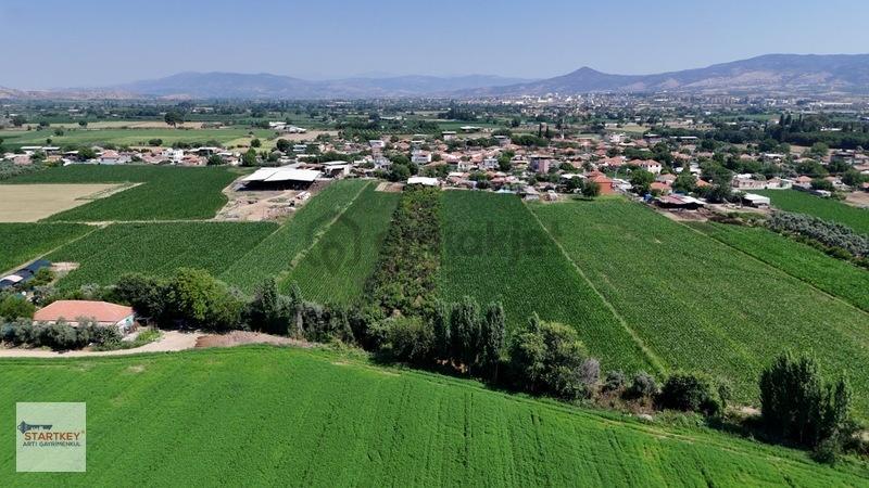 Aydın Çine Sarıoğlu Mh 19.614 M2 Satılık Tarla - 10
