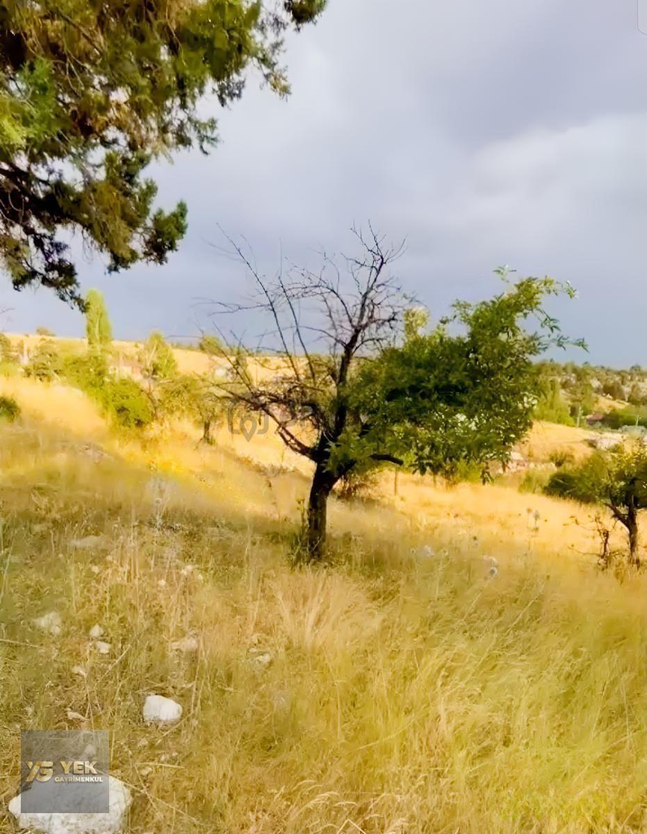 Yatırımlık Arsa Son Günler - 2