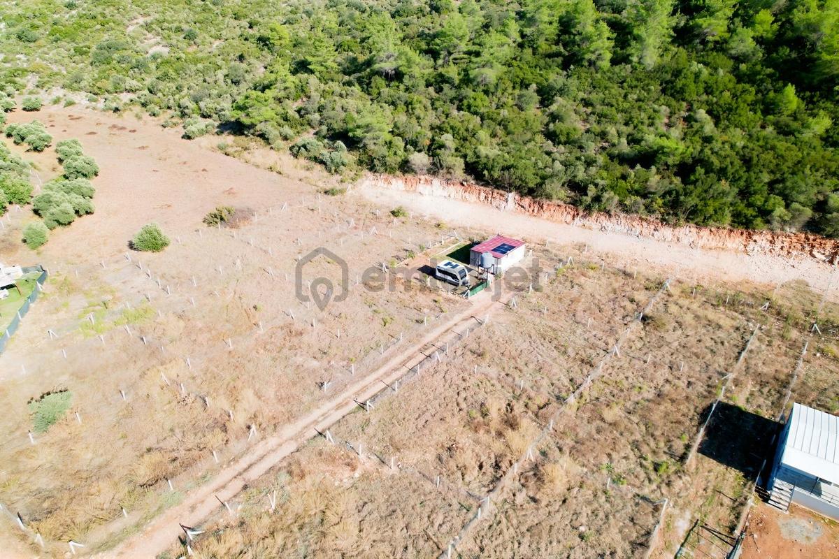 Pasifik'ten Menderes Gölova'da Hisse Tapulu Parseller - 17