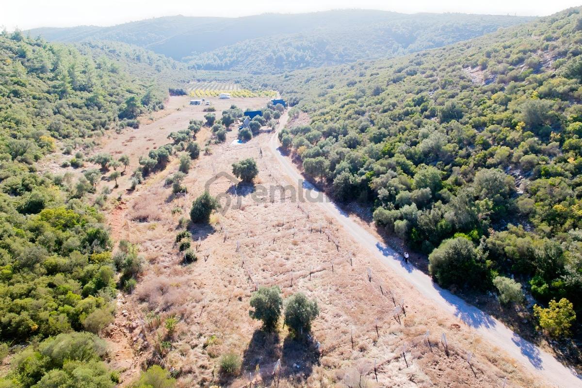 Pasifik'ten Menderes Gölova'da Hisse Tapulu Parseller - 10