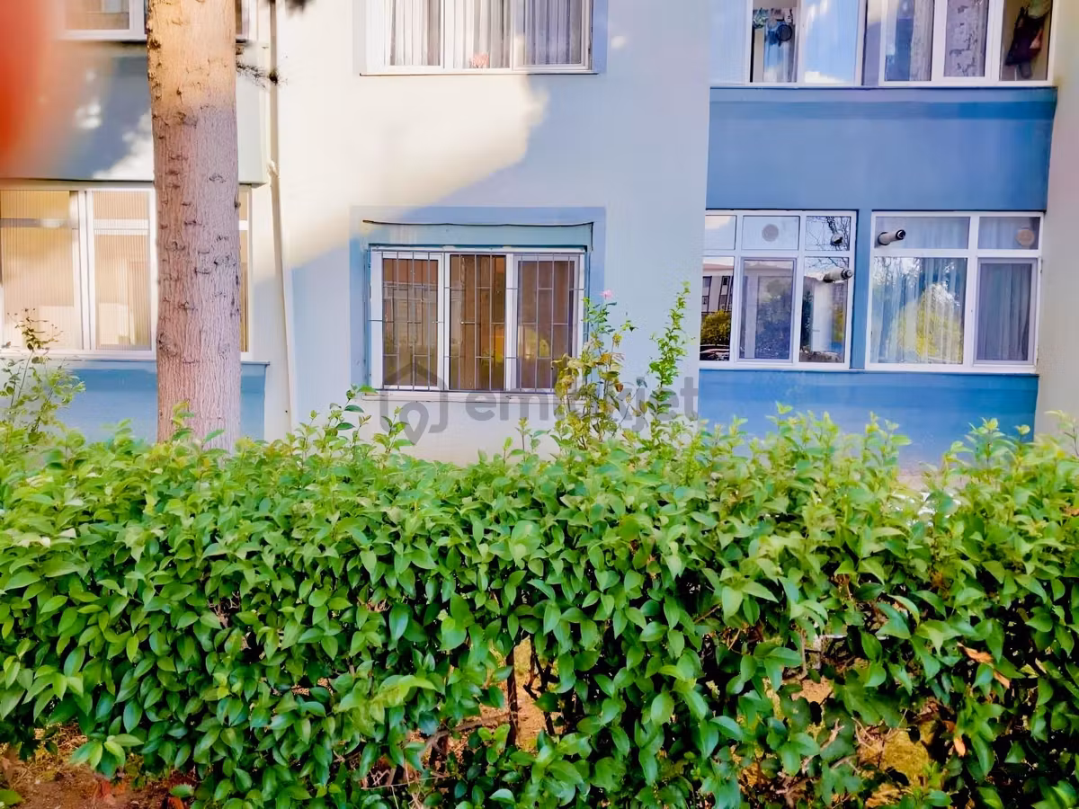 Yeni Mah Kiralık Giriş Kat 2+1 Daire - 16