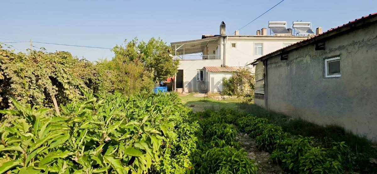 1000 M²arsa İçinde 2 Katlı Ruhsatlı Müstakil Ev 40 Başlık Besi - 2