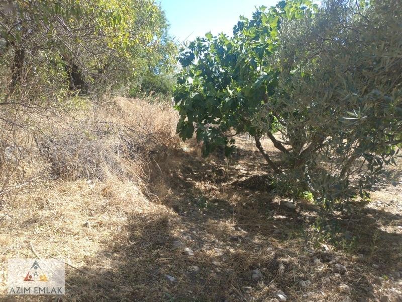 Belenbaşı'nda Satılık 794 Metre Tek Tapu Tanrı - 5