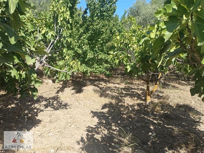 Belenbaşı'nda Satılık 794 Metre Tek Tapu Tanrı - 11