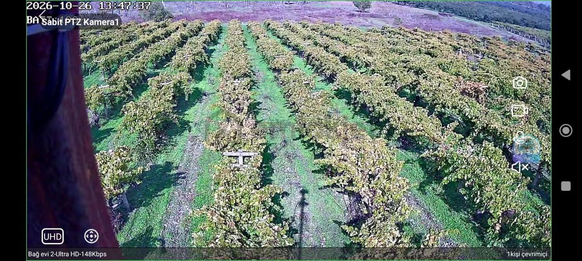 Pamukova'da Satılık 5146 M2 Üzüm Bağı - 7