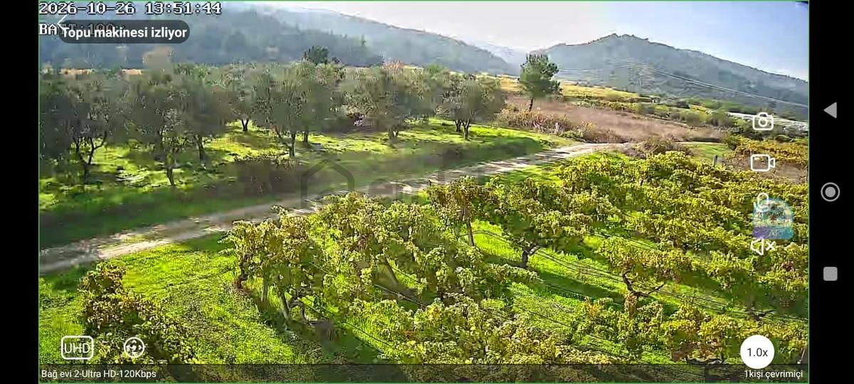 Pamukova'da Satılık 5146 M2 Üzüm Bağı - 4