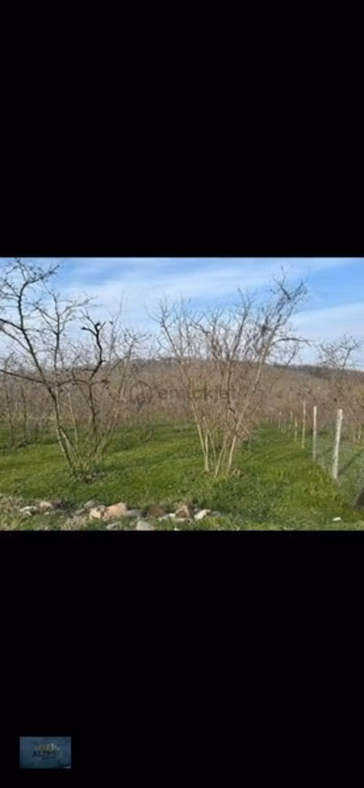 Elit Konum Müstakil Tapulu 510 Mt2 Arsa - 7