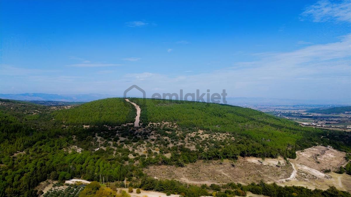 Bergama Kaşıkçıda 61.025 M² Satılık Palamutlu Tarla - 13