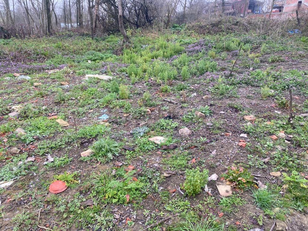 Kandıra Selimli Köy Satılık Arsa - 4