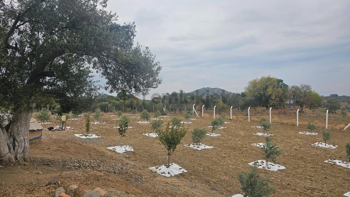 Bergama'da Baraj Manzaralı Yaşam Alanı (5439 M2) - 3