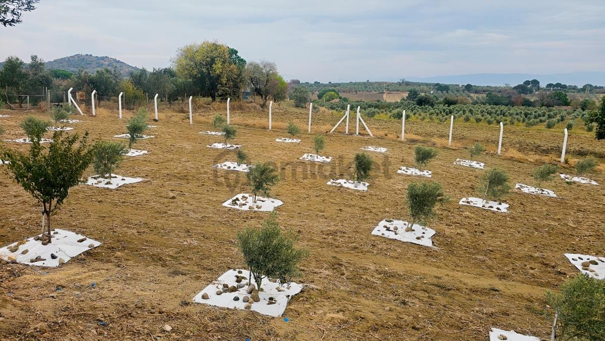 Bergama'da Baraj Manzaralı Yaşam Alanı (5439 M2) - 4