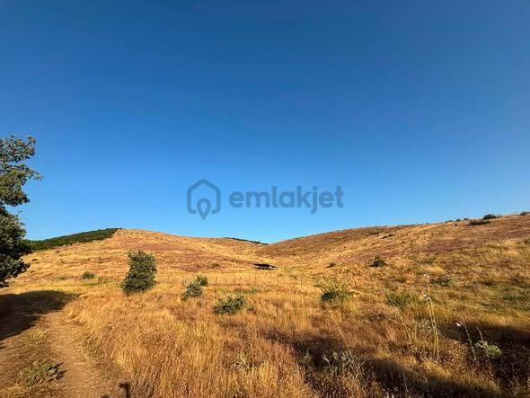 Tc Emlaktan Satılık 78 Dönüm Tarla ! - 30