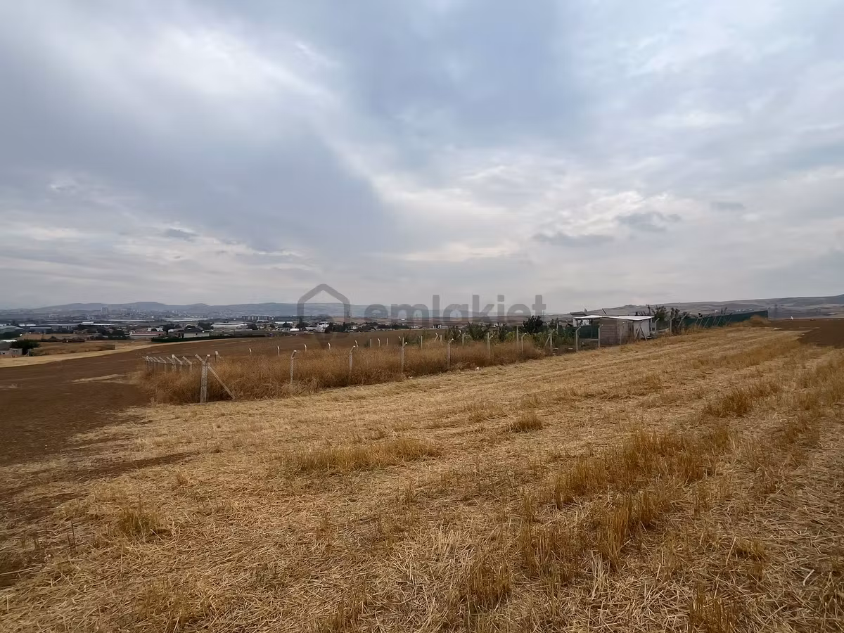 Nova'dan Ahılıda Tel Örgülü 513 M2 Arsa - 11