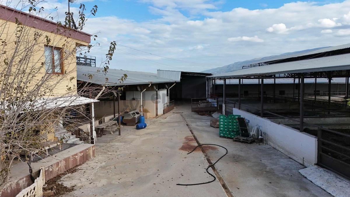 | Şehir'den | Sümer Mh. 18.000m2 Tam Donanımlı Ruhsatlı Çiftlik - 8
