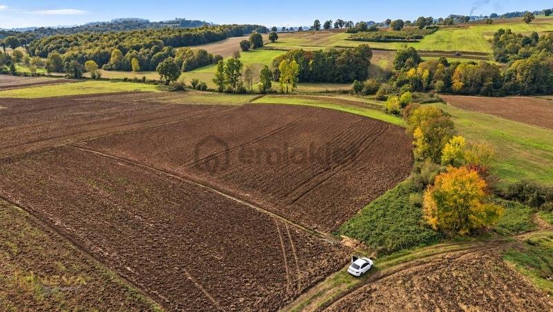 Kocaeli Yenice Mahallesinde Satılık 8033 M2 Tarla - 9