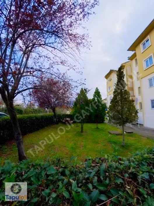 Beyköy Toki'de Kiralık 2+1 Daire - 2