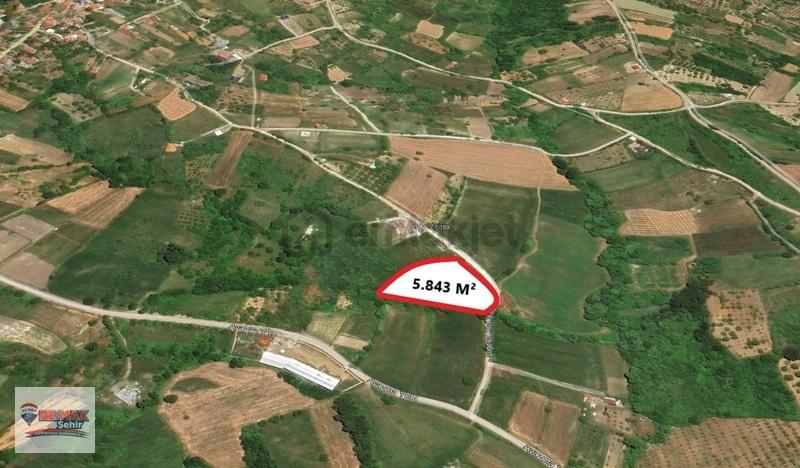 Yalova Remax'dan Sugören'de Satılık Tarla - 2
