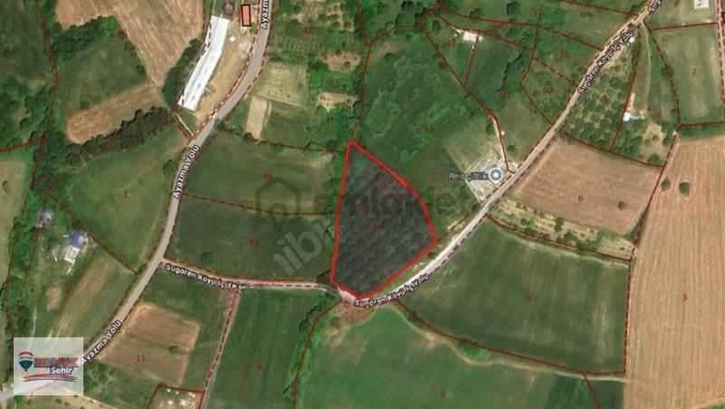 Yalova Remax'dan Sugören'de Satılık Tarla - 5