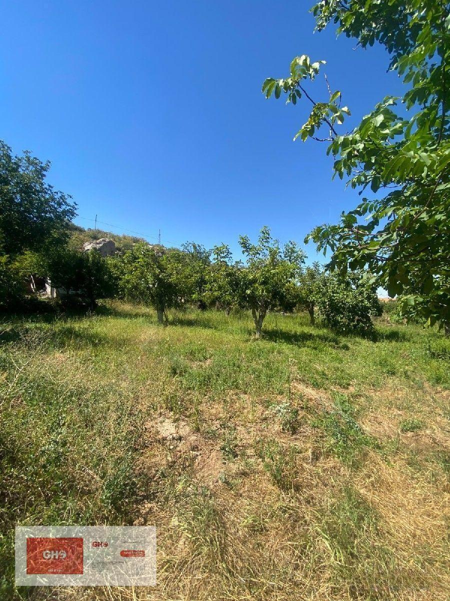 Pınarbaşı'nda Kaçmaz Hobi Bahçesi - 3