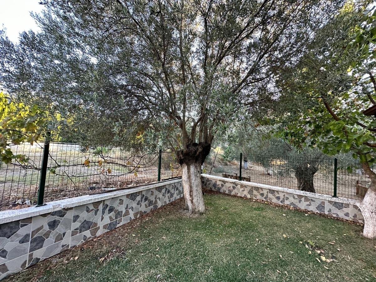 Balıkesir Gömeç Karaağaç'da Kiralık İşyeri Villa - 19