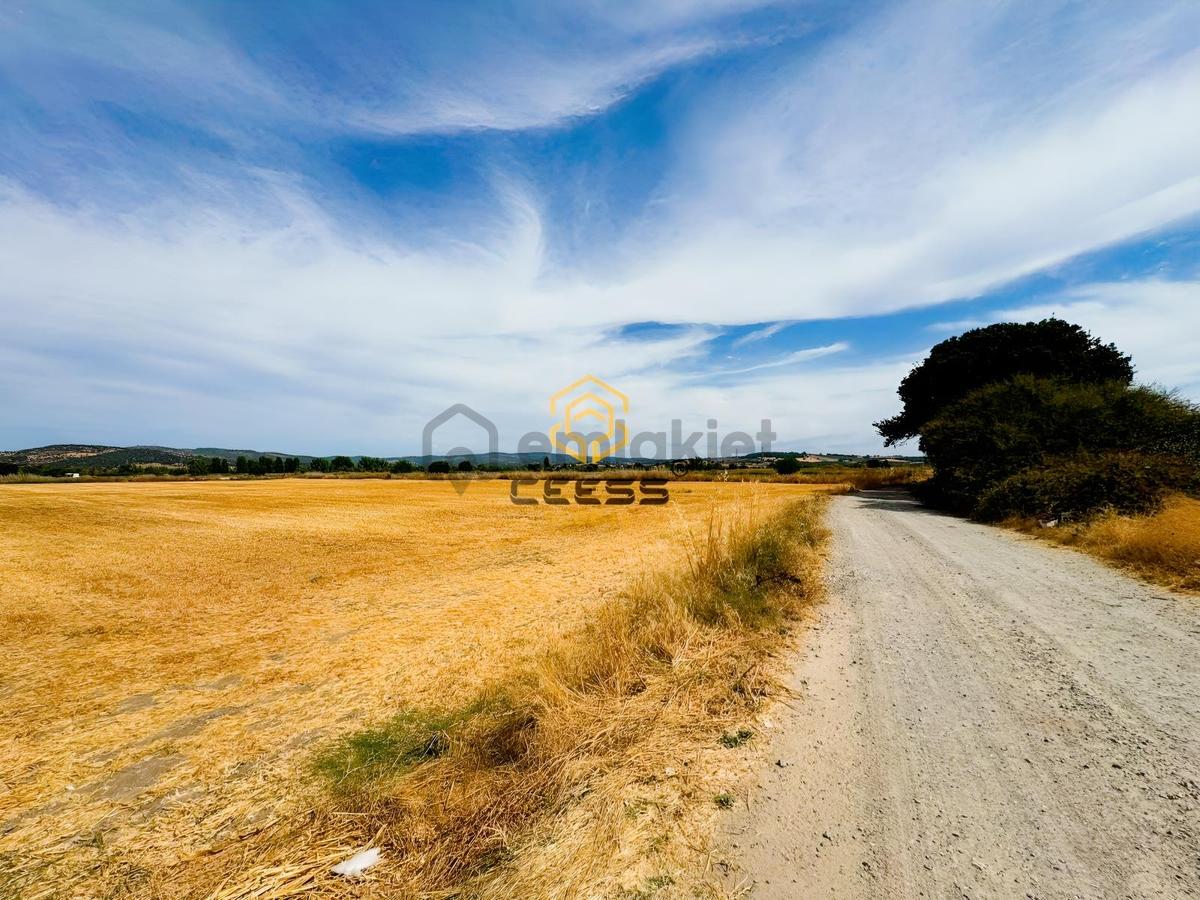Çanakkale Ezinede 2.267 M² Satılık Arsa - 8