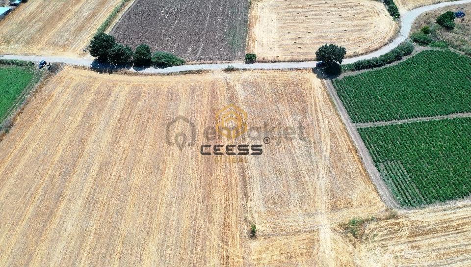 Çanakkale Ezinede 2.267 M² Satılık Arsa - 14