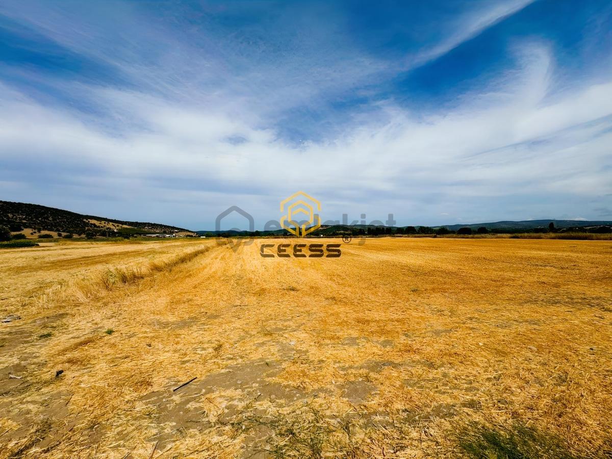 Çanakkale Ezinede 2.267 M² Satılık Arsa - 10