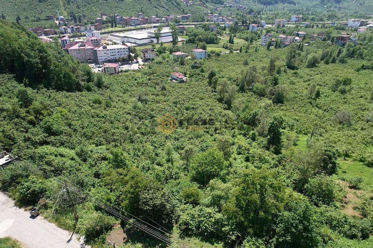 Araklı Devlet Hastanesi Yanında Kat Karşılığı Arsa - 16
