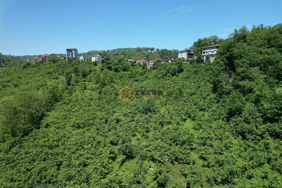 Araklı Devlet Hastanesi Yanında Kat Karşılığı Arsa