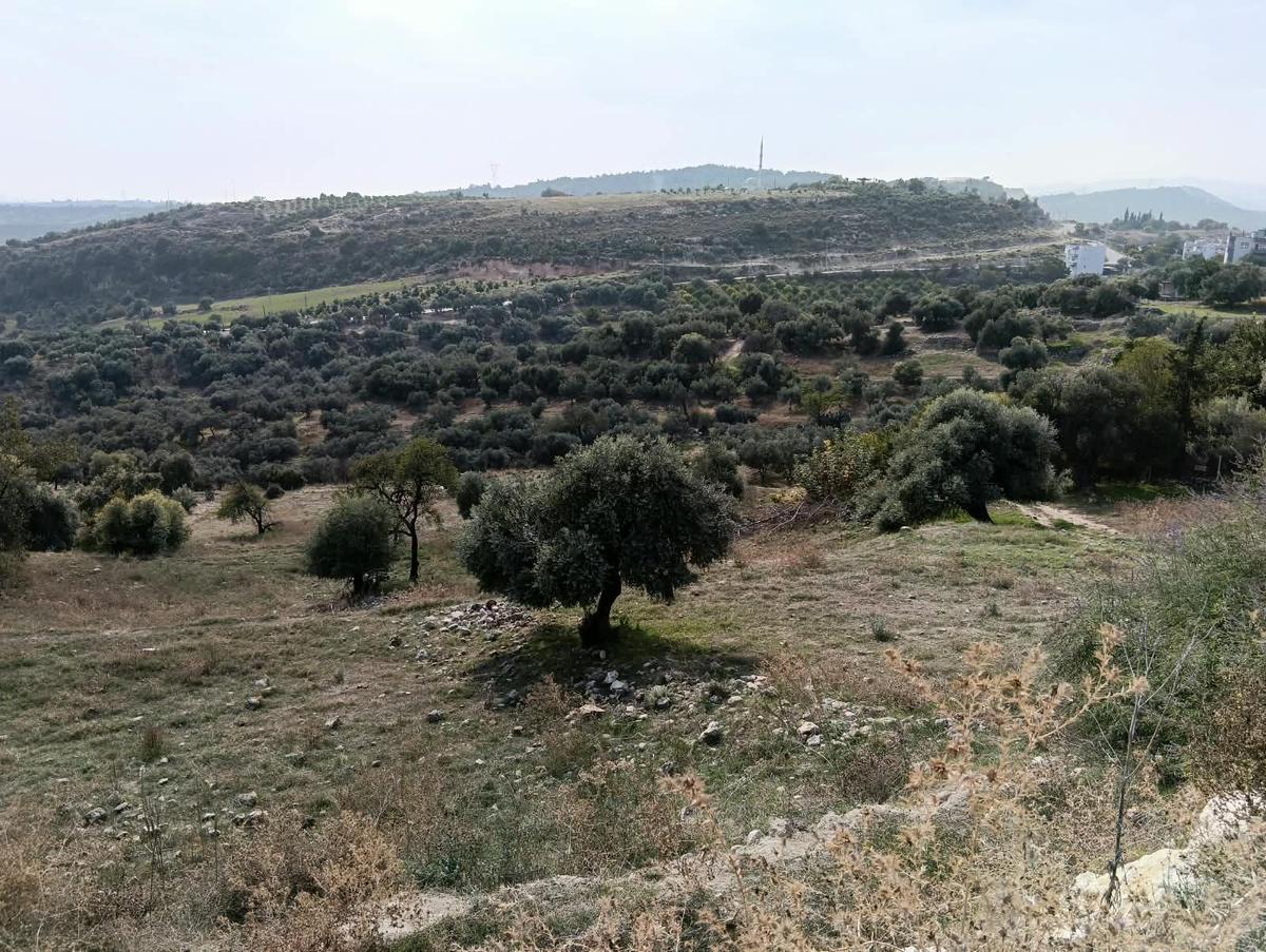 Mersin Akdeniz Hebilli Mahallesi Satılık 2428m2 Arsa - 5