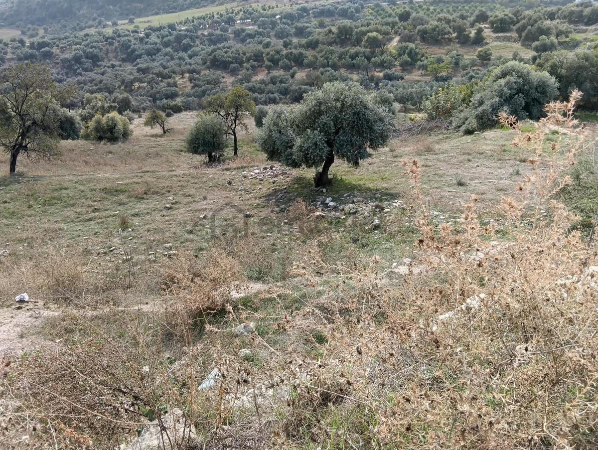 Mersin Akdeniz Hebilli Mahallesi Satılık 2428m2 Arsa - 2