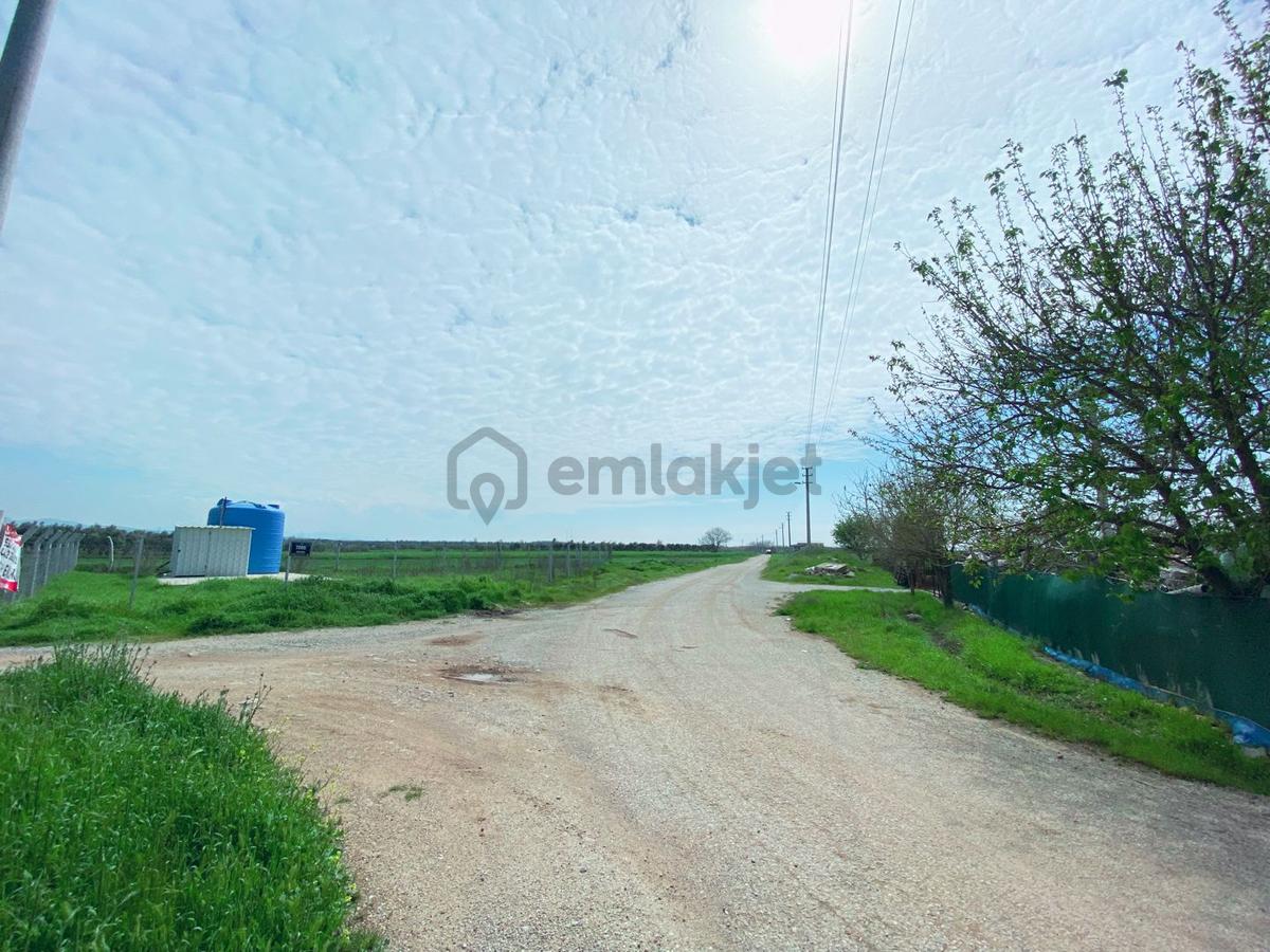 Mendereste İmar Barışlı Net 500 M2 (açıklamayı Okuyun) - 27