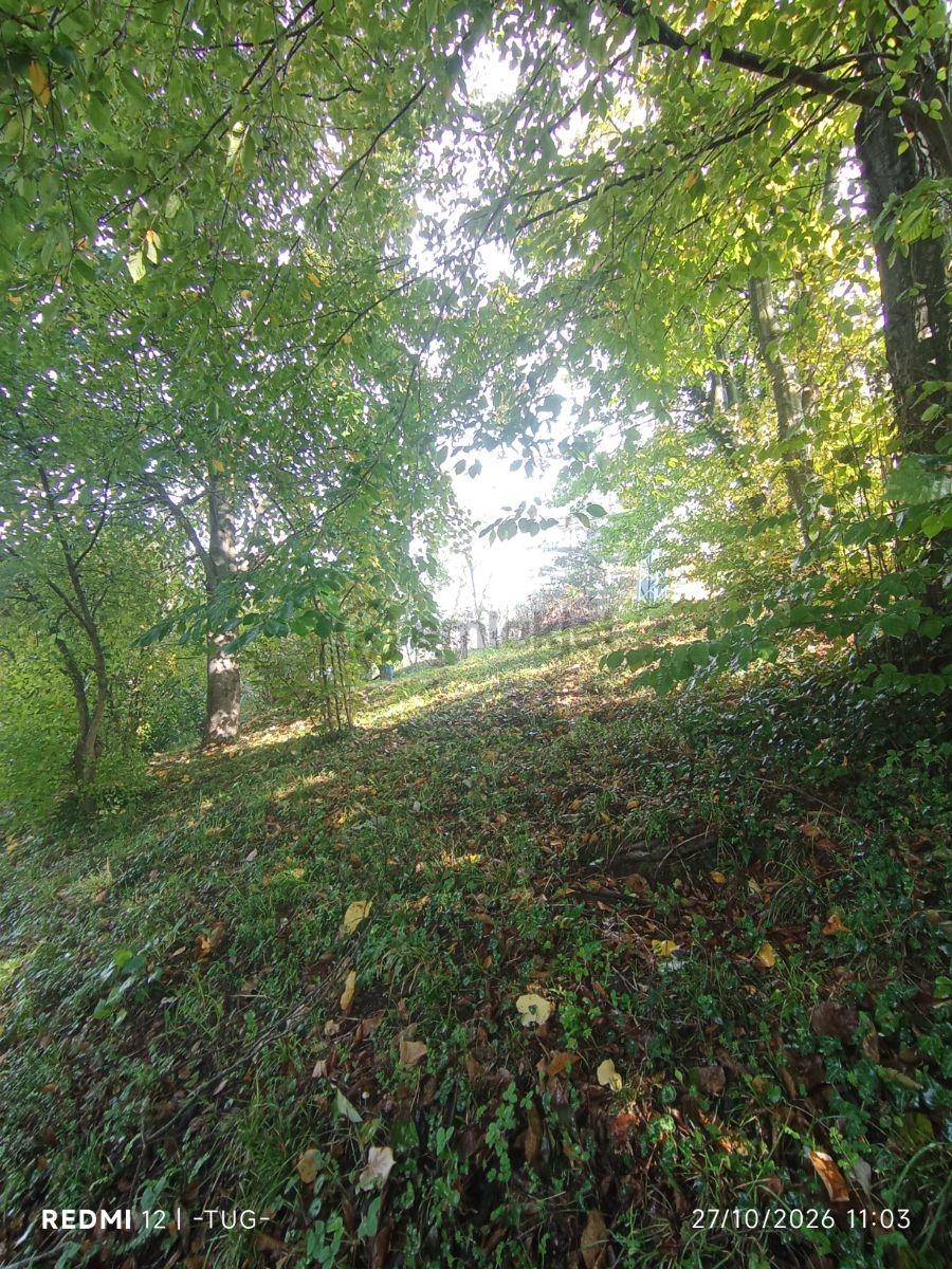 Düzce Merkez Golormani Köyünde Satılık Arsa - 19