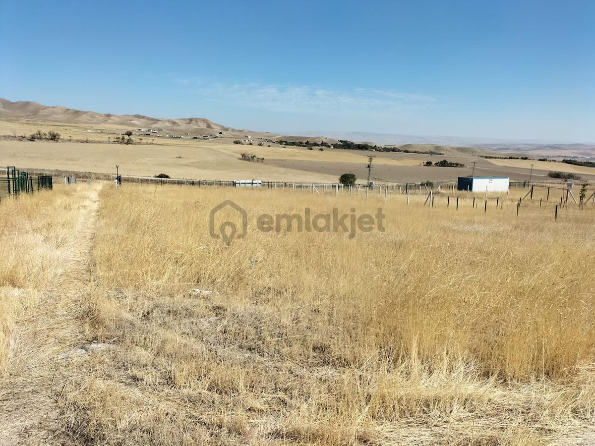 Polatlı Hacıtuğrul Satılık 1000 M2 Hobi Bahçesi - 11