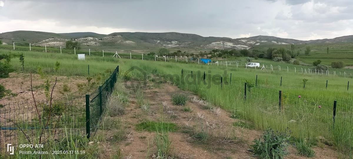Polatlı Hacıtuğrul Satılık 1000 M2 Hobi Bahçesi - 9
