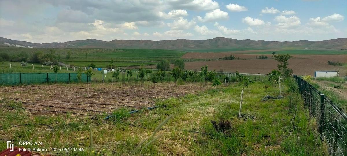 Polatlı Hacıtuğrul Satılık 1000 M2 Hobi Bahçesi - 5