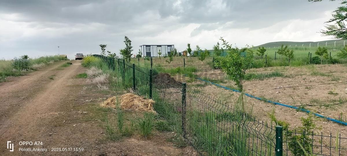 Polatlı Hacıtuğrul Satılık 1000 M2 Hobi Bahçesi - 3