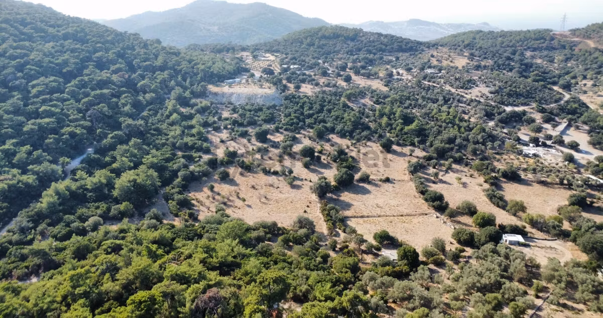 Bitez Kavsak 3km Olan Ciftlik Arazisi - 16