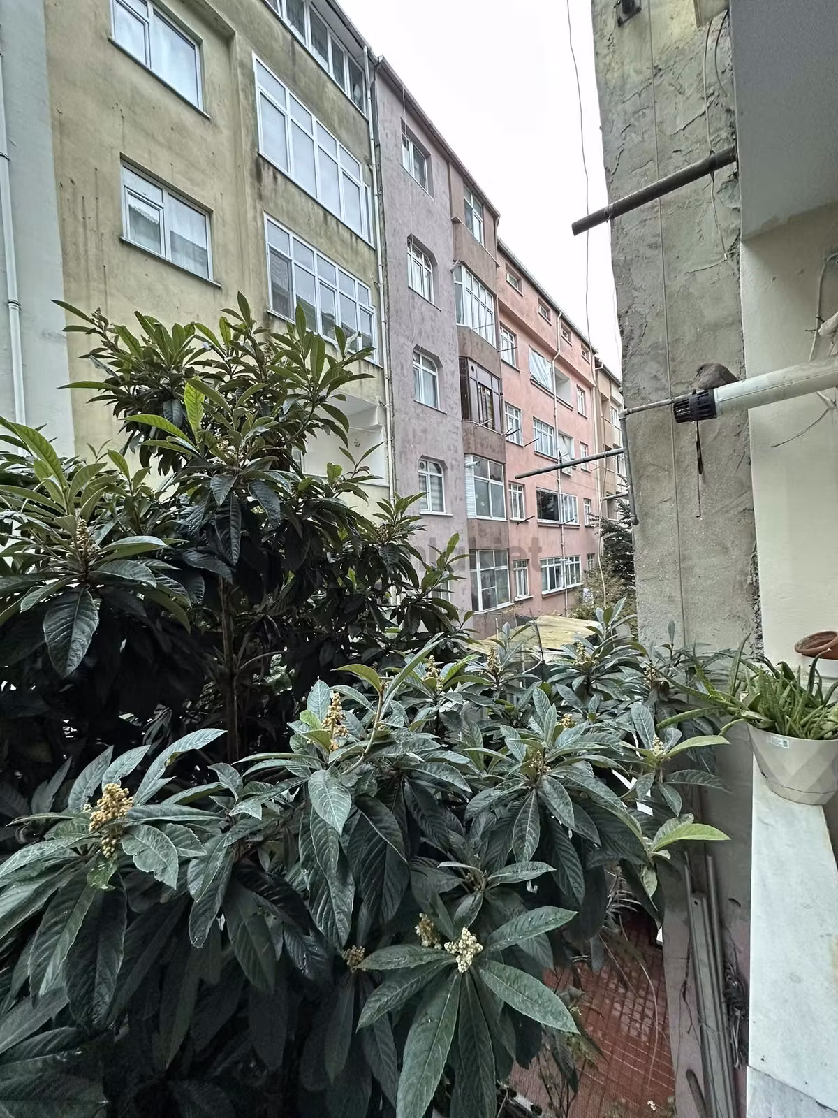 Gaziosmanpaşa Merkez Balkonlu Satılık 2+1 Giriş Kat Daire - 19