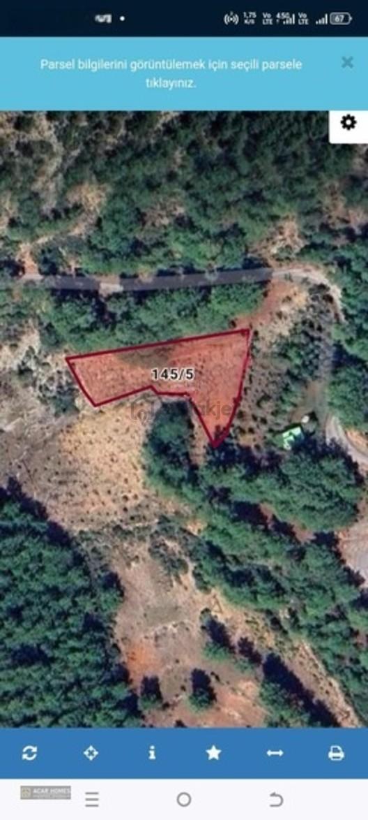 Seydikemer Söğütlüderede 2.222,81 M² Satılık Tarla