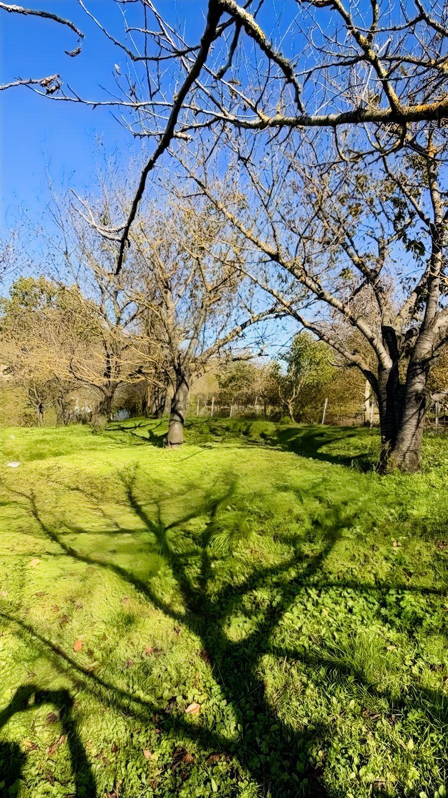 Bi·novadan Canik Gölalanda 762 M² Satılık Arsa - 16