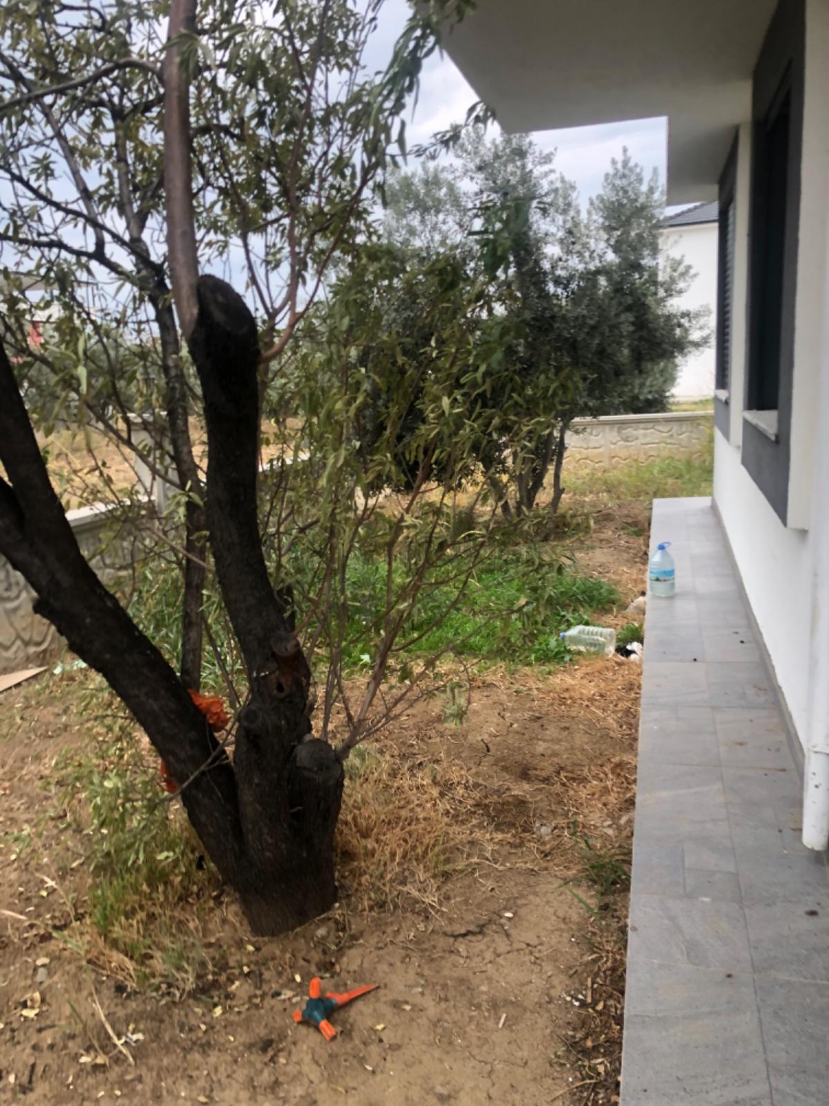 Gömeç Kızko Yolunda Sıfır Villa - 12