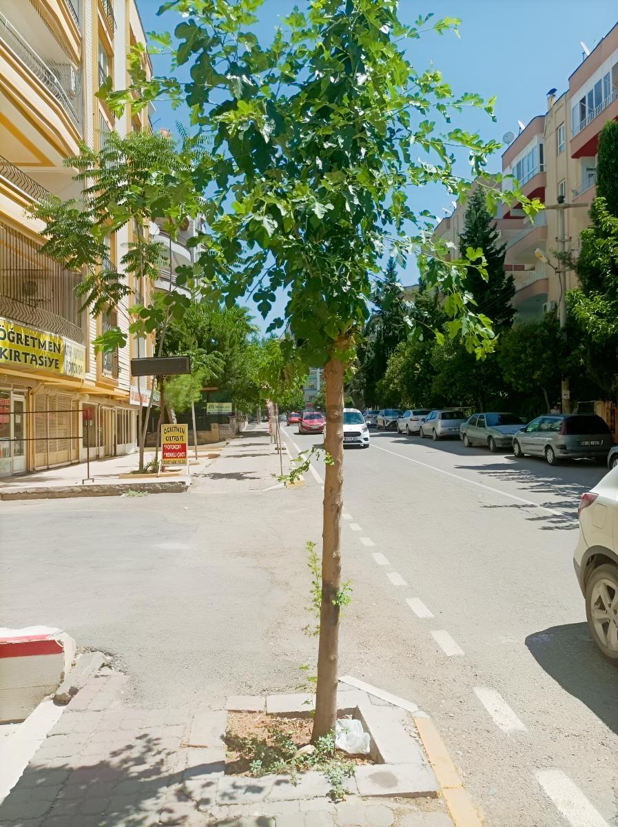 Şenevlerde Devren Satılık Kuaför - 2