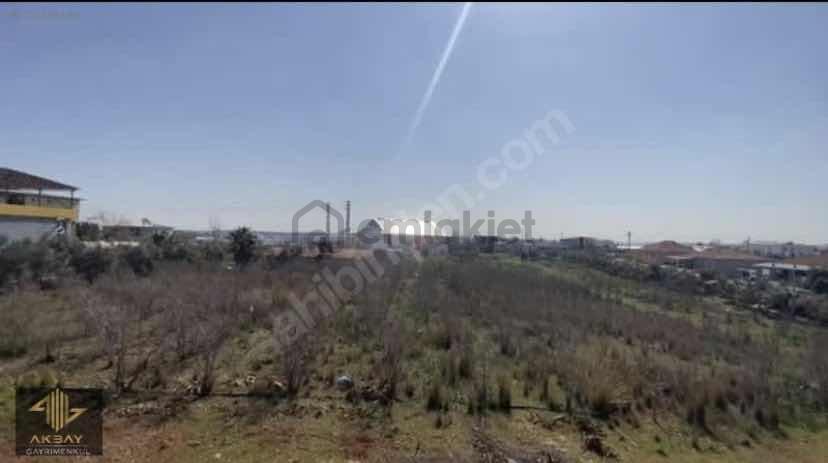 Yola Cephe 3000m2 Kiralık Arazi - 2