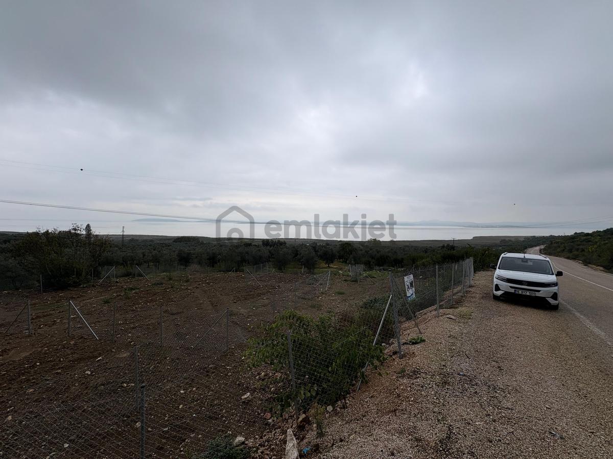 Akçapınar'da Yola Cephe Manzaralı Satılık Tarlalar - 6