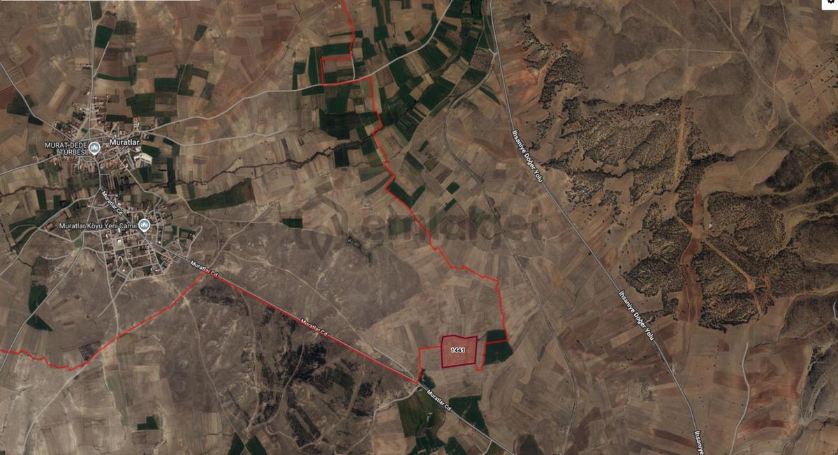 İhsaniye Muratlar Köyünde Satılık 54.600 M² Tarla..!