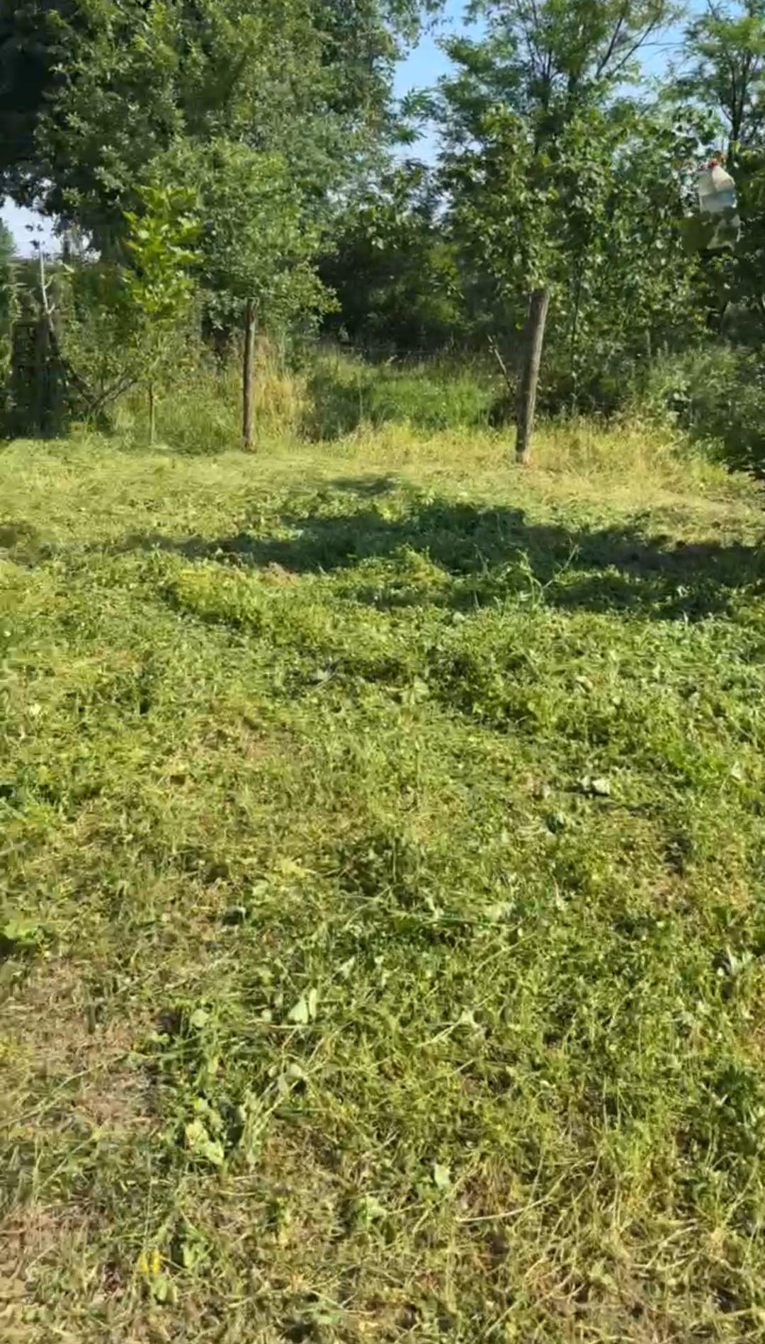 Sakarya Hendek Uzunçarşı Mah.satılık Fındıklık - 10