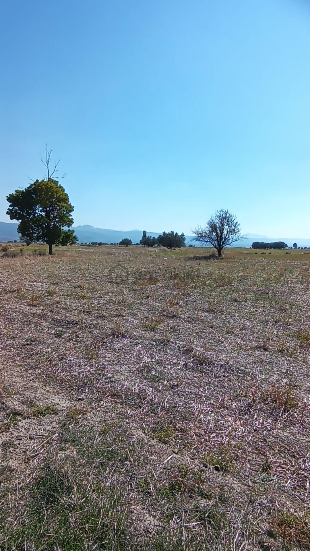 Wisrem'den Keçiborlu Kılıçta Satılık 393 M² Bahçe - 3