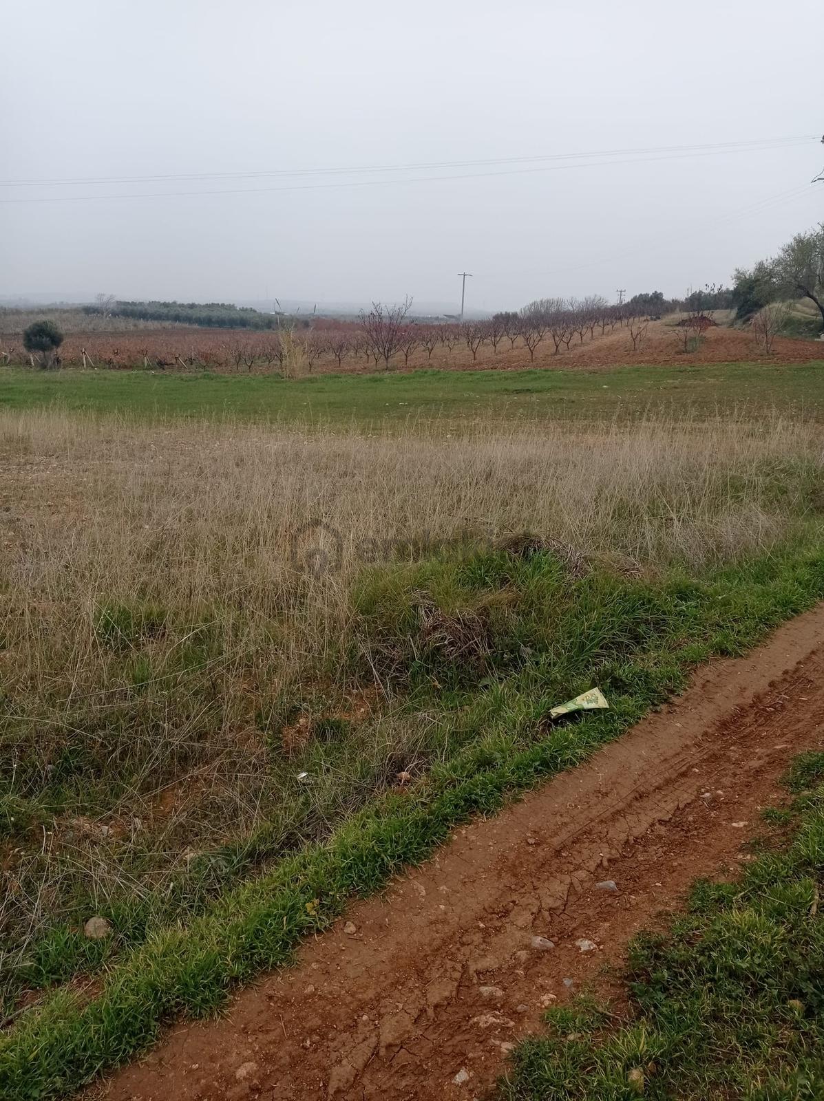 Manisa Karaoğlanlı Mahallesi'nde 11.660m2 Satılık Tarla - 10